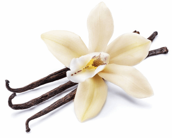 wholesale-vanilla-sizzlers