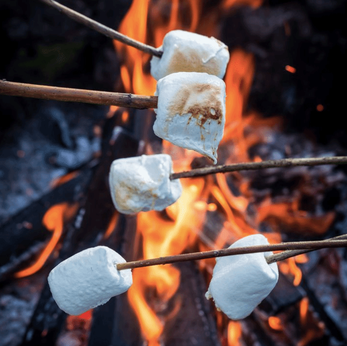 toasted+marshmallow+sizzlers