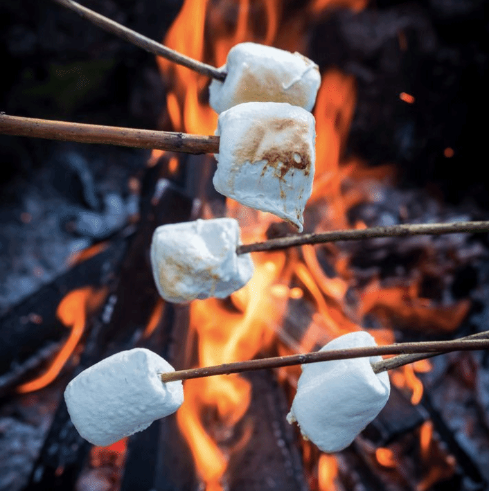 toasted+marshmallow+wax+melt